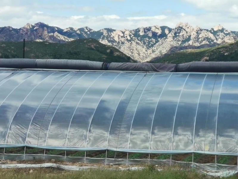 कृषि फिल्म